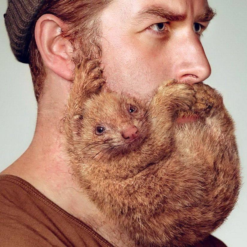 Андрей Нальгин